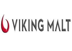 made_viking
